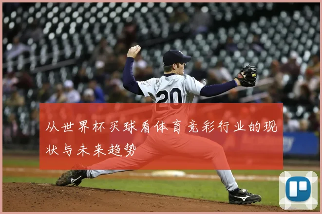从世界杯买球看体育竞彩行业的现状与未来趋势
