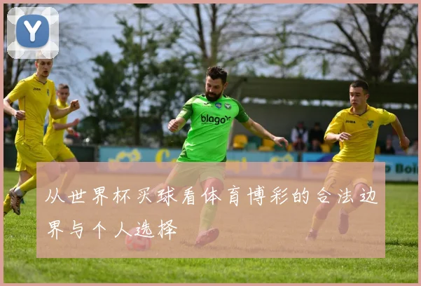 从世界杯买球看体育博彩的合法边界与个人选择
