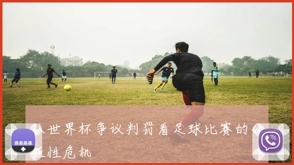 从世界杯争议判罚看足球比赛的公正性危机