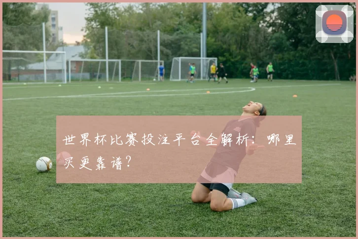 世界杯比赛投注平台全解析:哪里买更靠谱?
