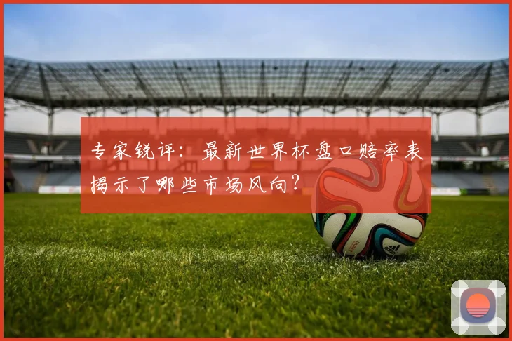 专家锐评:最新世界杯盘口赔率表揭示了哪些市场风向?