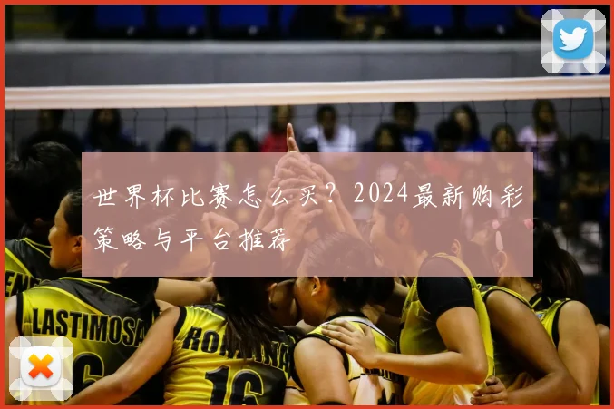 世界杯比赛怎么买?2024最新购彩策略与平台推荐