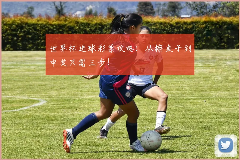 世界杯进球彩票攻略:从擦桌子到中奖只需三步!