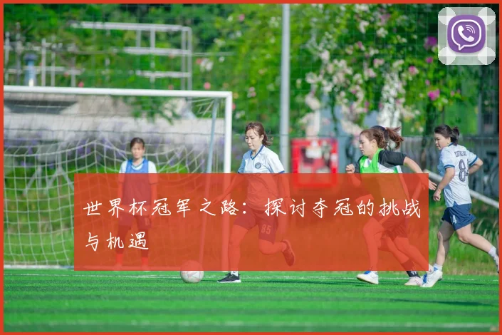 世界杯冠军之路:探讨夺冠的挑战与机遇