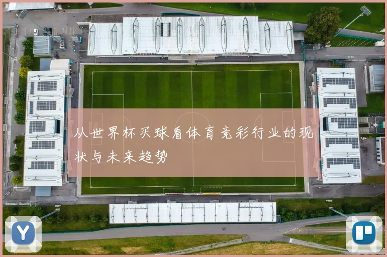 从世界杯买球看体育竞彩行业的现状与未来趋势