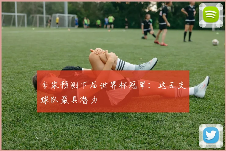 专家预测下届世界杯冠军：这五支球队最具潜力