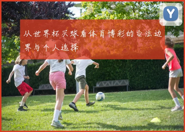 从世界杯买球看体育博彩的合法边界与个人选择