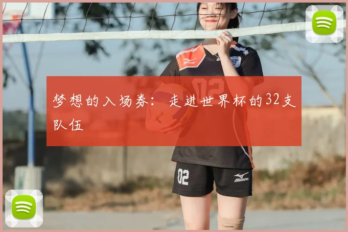 梦想的入场券：走进世界杯的32支队伍