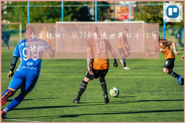专家锐评：从310看透世界杯冷门与稳胆